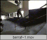steve Berra
