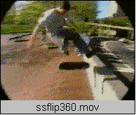 360�