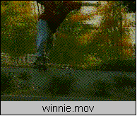 winny ponte
